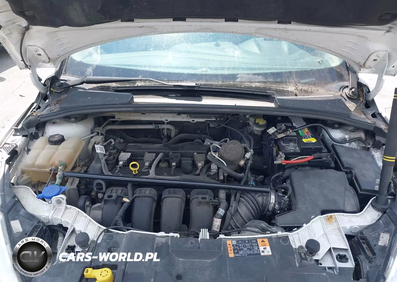 2016 Ford Focus Se VIN:1FADP3F22GL301374 - 10