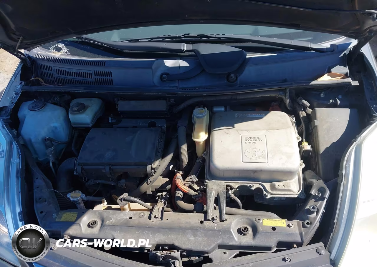 2007 Toyota Prius VIN:JTDKB20U173210245 - 10