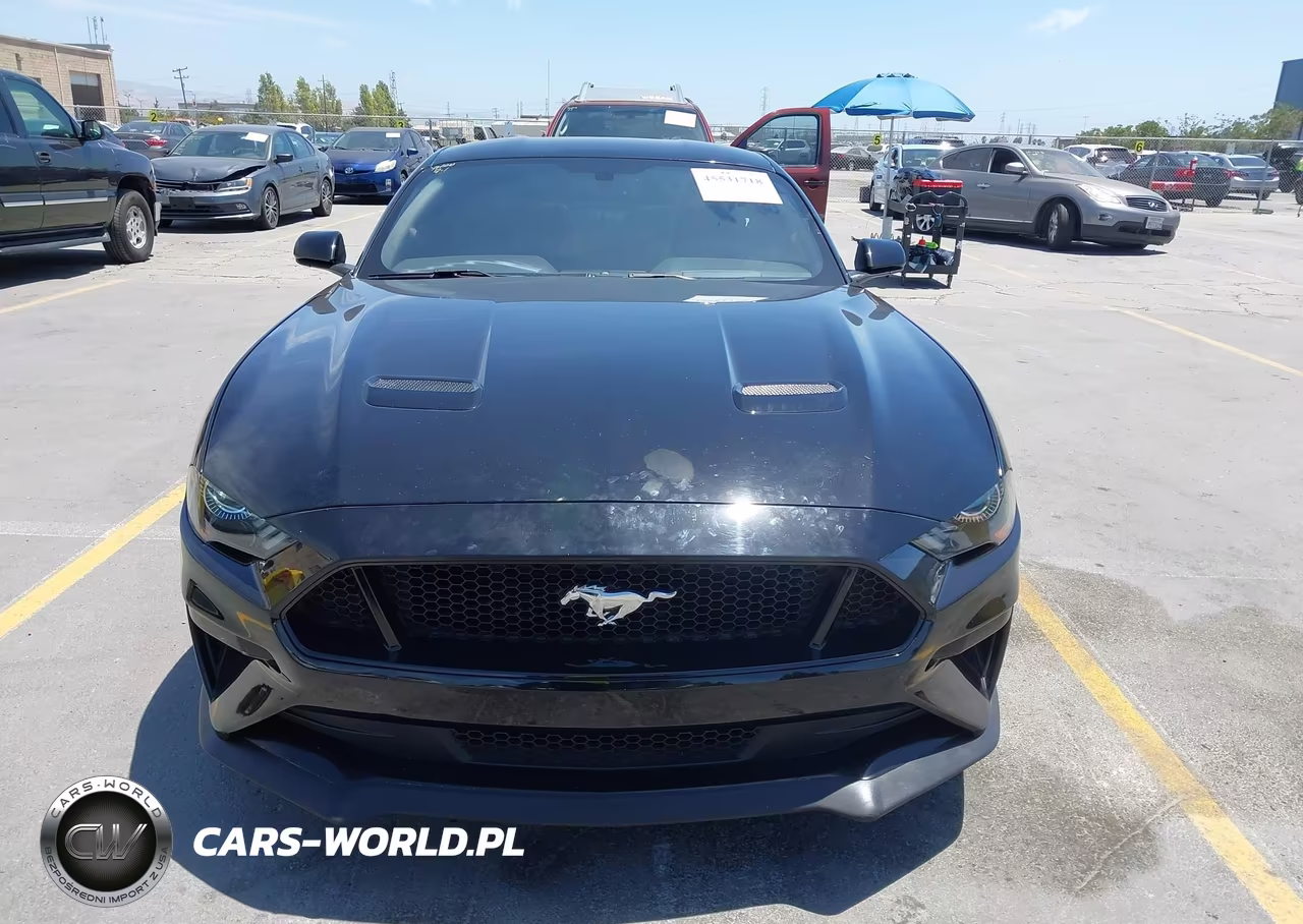 2018 Ford Mustang Gt-Gt Premium VIN:1FA6P8CF8J5130042 - 12