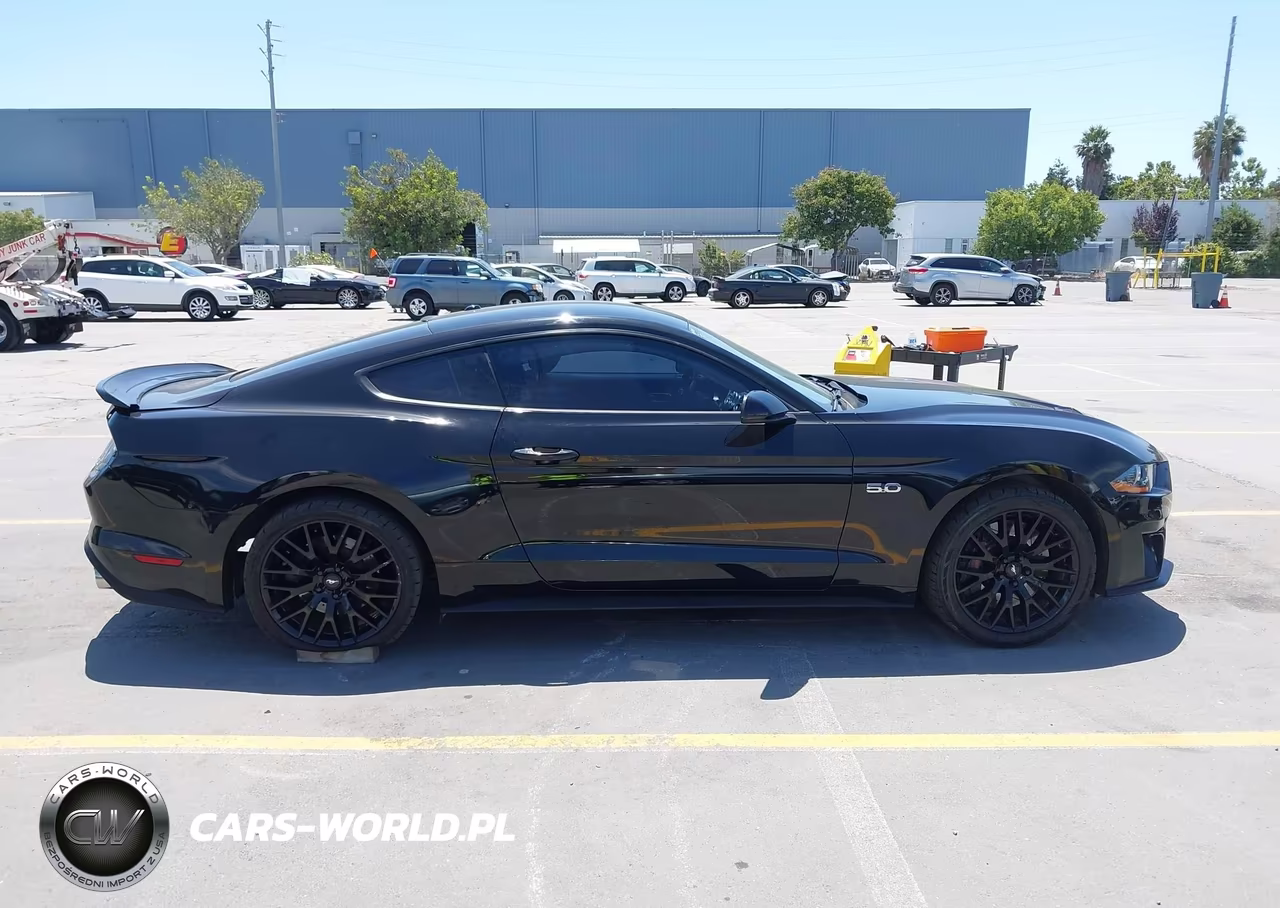 2018 Ford Mustang Gt-Gt Premium VIN:1FA6P8CF8J5130042 - 13
