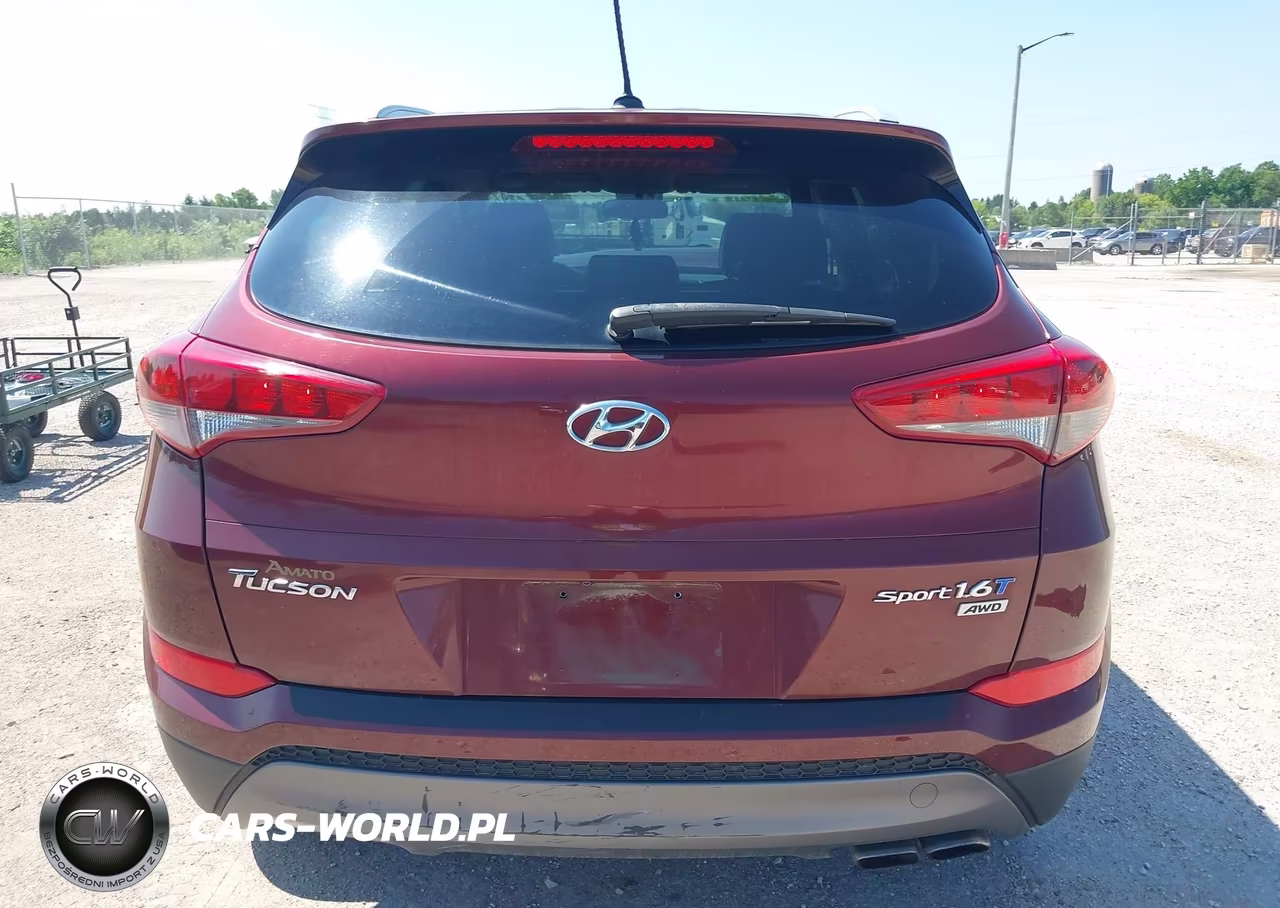 2016 Hyundai Tucson Sport VIN:KM8J3CA2XGU205627 - 16