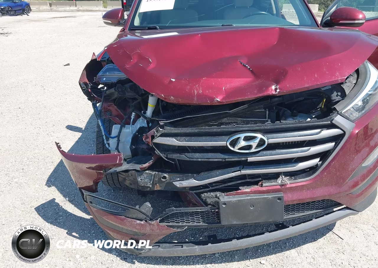 2016 Hyundai Tucson Sport VIN:KM8J3CA2XGU205627 - 6