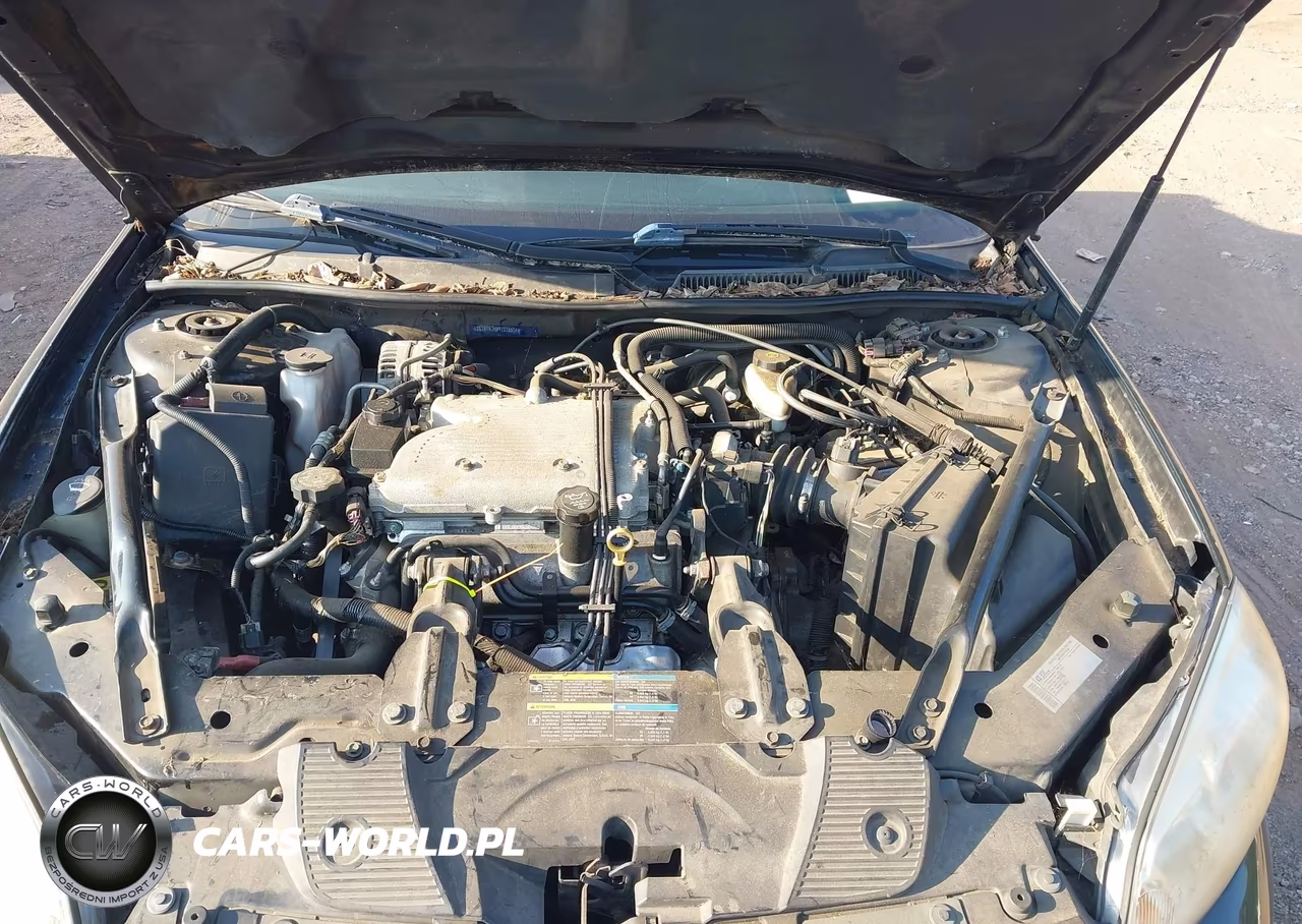 2009 Chevrolet Impala Lt VIN:2G1WT57K591318504 - 10