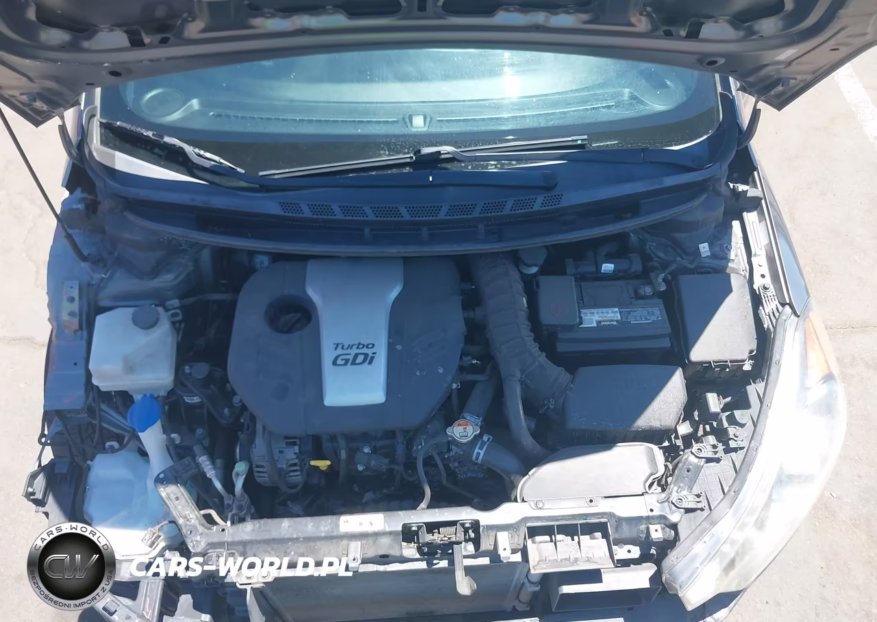 2016 Kia Forte Sx VIN:KNAFZ5A38G5634690 - 10