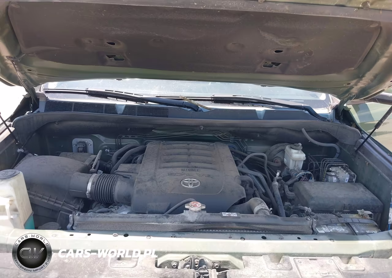 2020 Toyota Tundra Trd Pro VIN:5TFDY5F1XLX891742 - 10