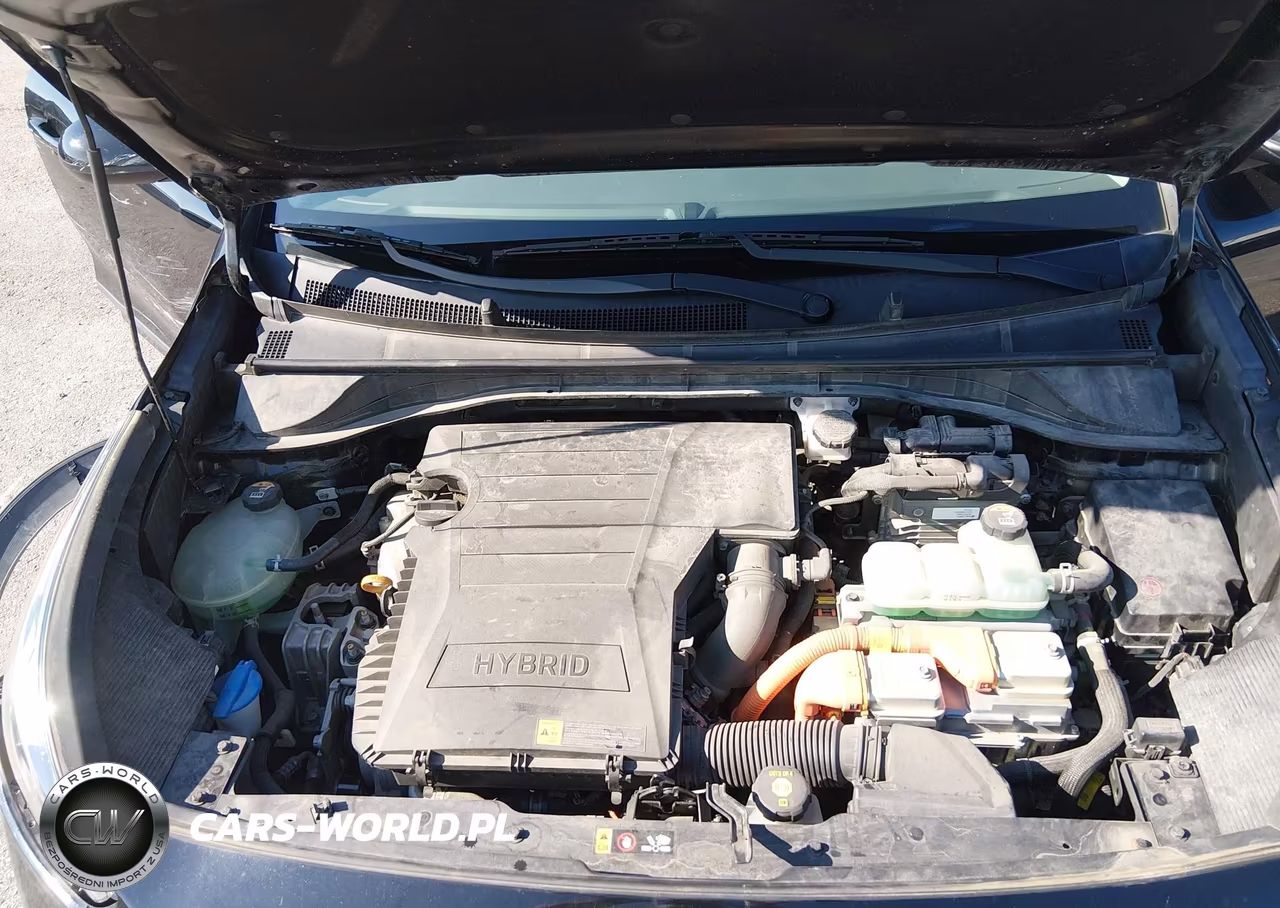 2019 Kia Niro Lx VIN:KNDCB3LC8K5250851 - 10