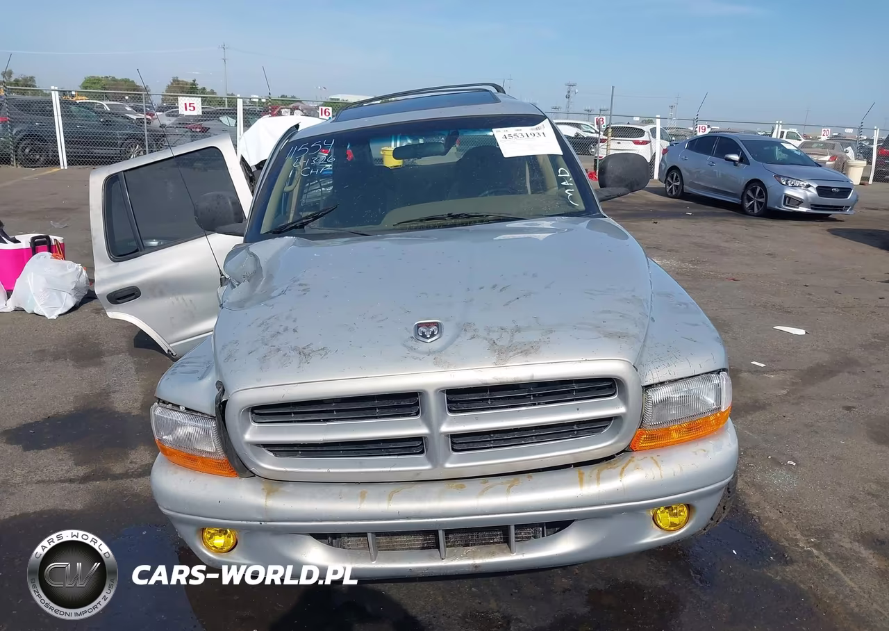 1999 Dodge Durango VIN:1B4HS28Z7XF512581 - 12