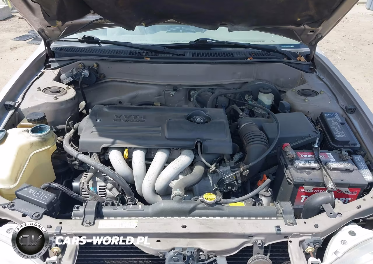 2000 Toyota Corolla Ce VIN:1NXBR12E6YZ404580 - 10