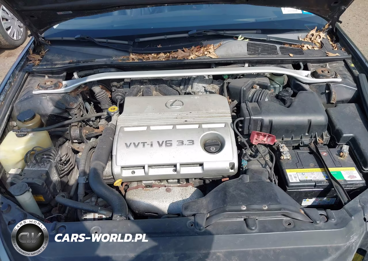 2004 Lexus Es 330 VIN:JTHBA30G945054229 - 10