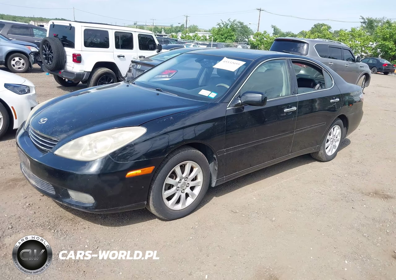 2004 Lexus Es 330 VIN:JTHBA30G945054229 - 2