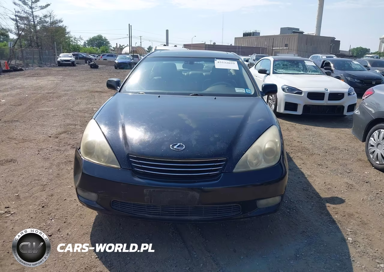 2004 Lexus Es 330 VIN:JTHBA30G945054229 - 6