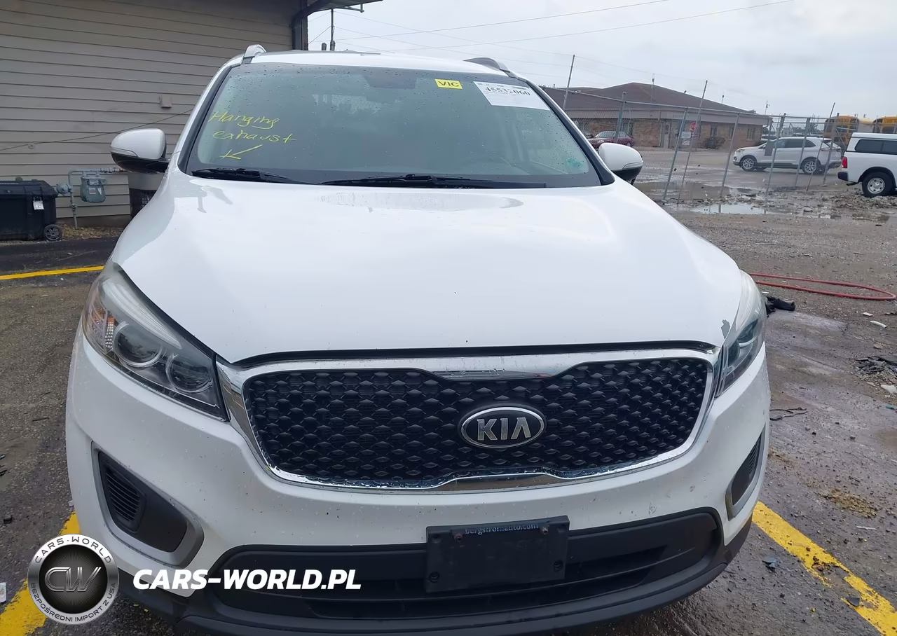2017 Kia Sorento 3.3L Lx VIN:5XYPGDA53HG335710 - 12