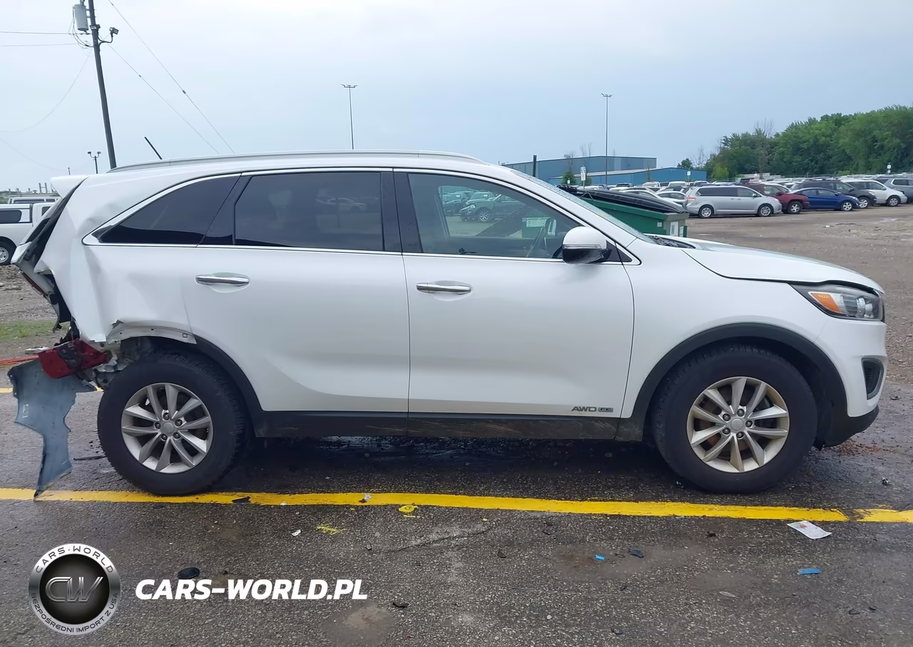 2017 Kia Sorento 3.3L Lx VIN:5XYPGDA53HG335710 - 13