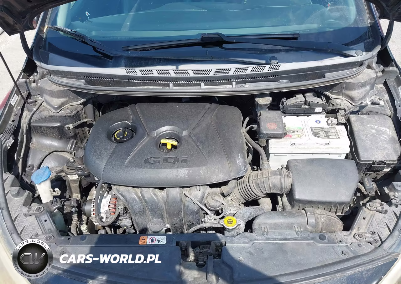 2014 Kia Forte Koup Ex VIN:KNAFX6A88E5202024 - 10