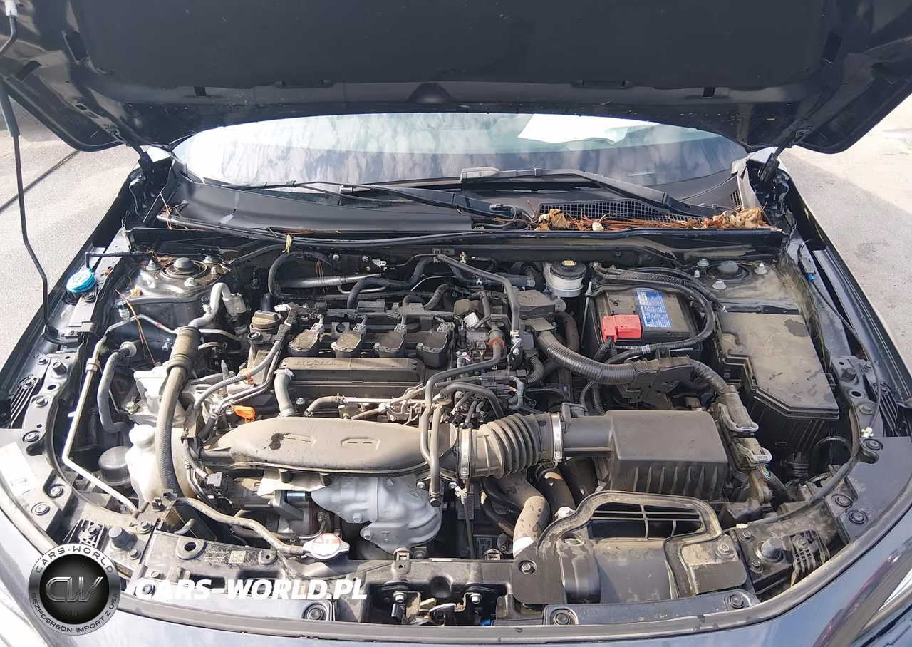 2024 Honda Civic Ex VIN:2HGFE1F77RH317306 - 10