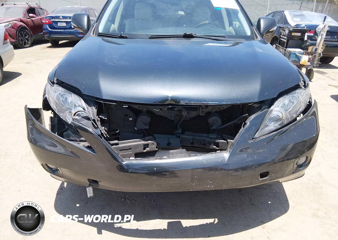 2011 Lexus Rx 350 VIN:2T2BK1BA8BC094311 - 6