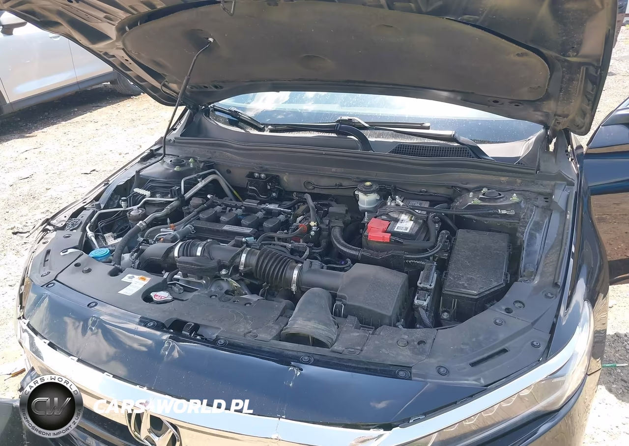 2019 Honda Accord Lx VIN:1HGCV1F11KA036301 - 10