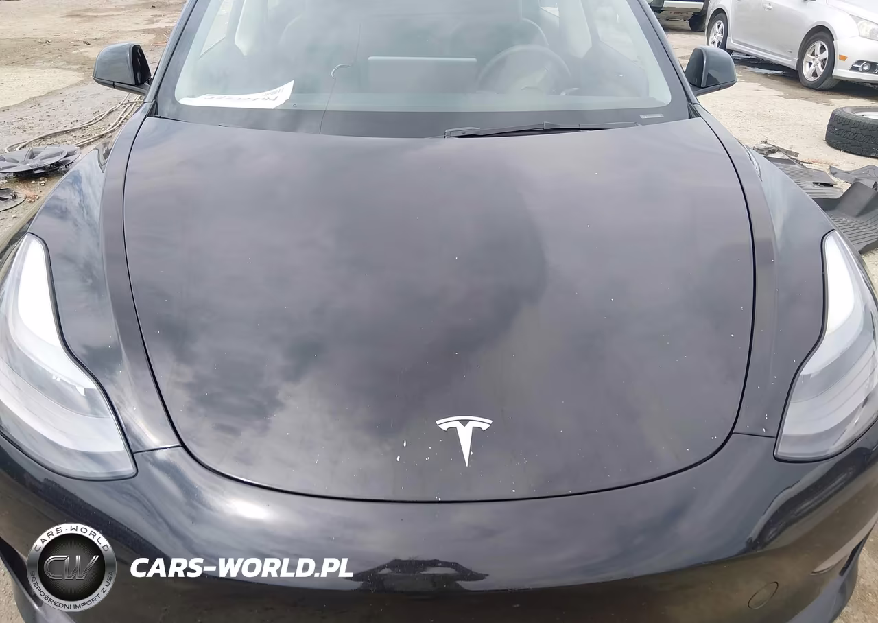 2023 Tesla Model 3 Long Range Dual Motor All-Wheel Drive VIN:5YJ3E1EB0PF615416 - 10