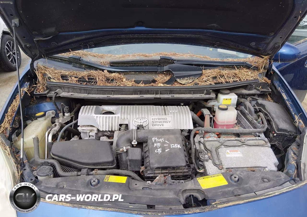 2010 Toyota Prius Iv VIN:JTDKN3DUXA5154356 - 10