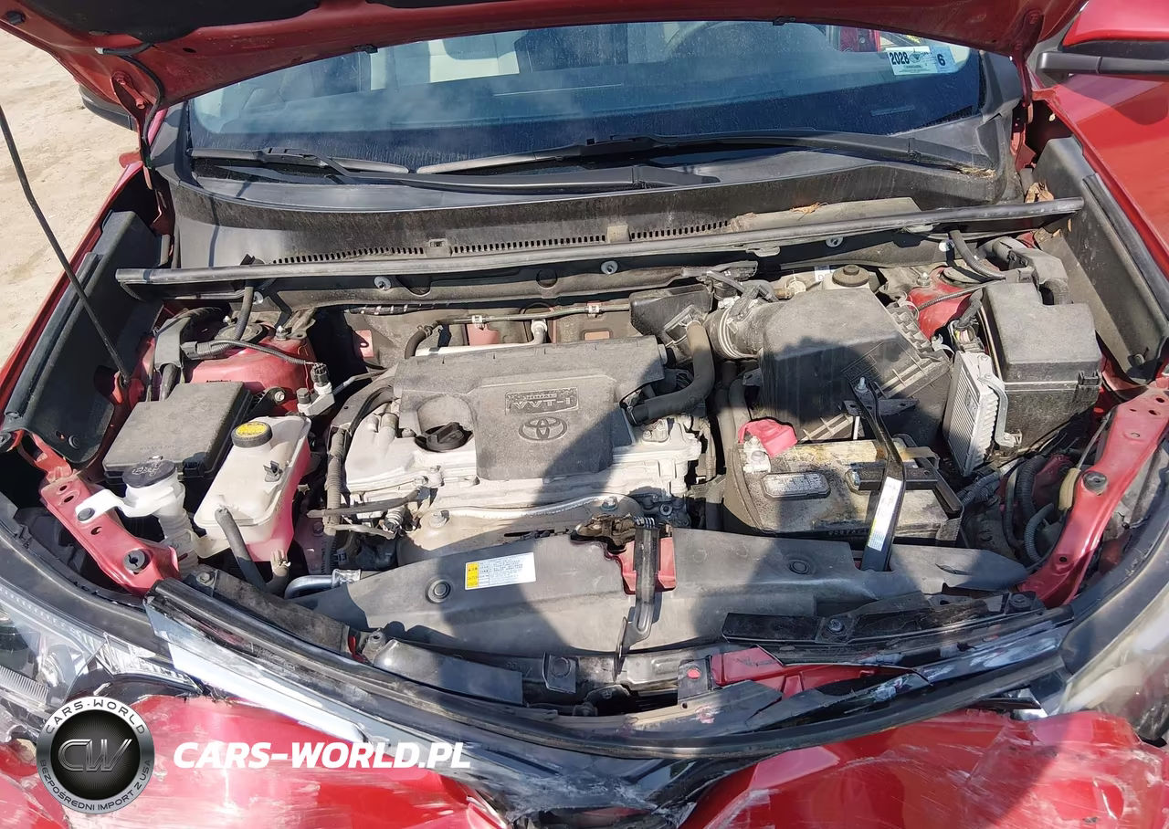 2016 Toyota Rav4 Xle VIN:2T3RFREV5GW494828 - 10