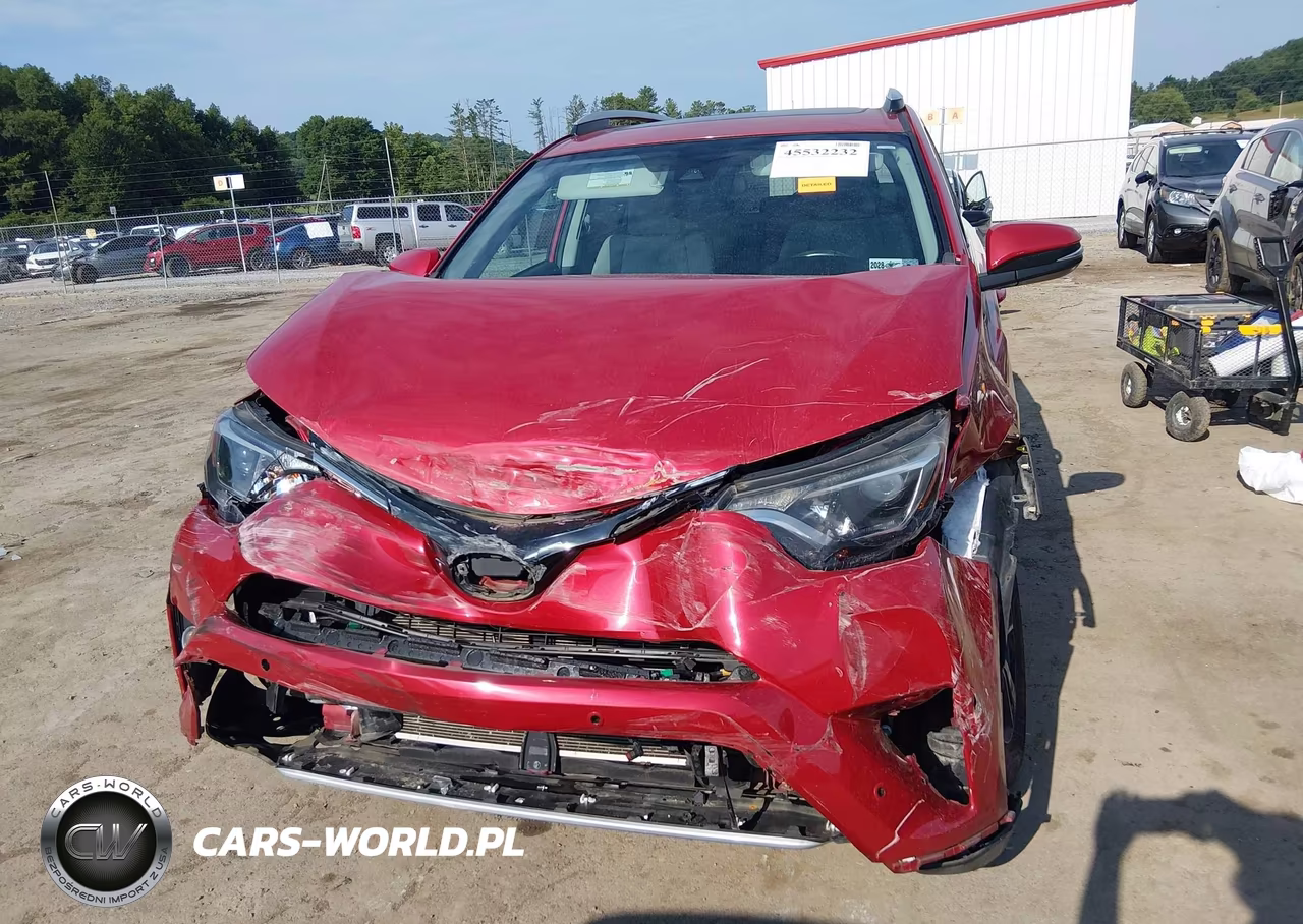 2016 Toyota Rav4 Xle VIN:2T3RFREV5GW494828 - 12