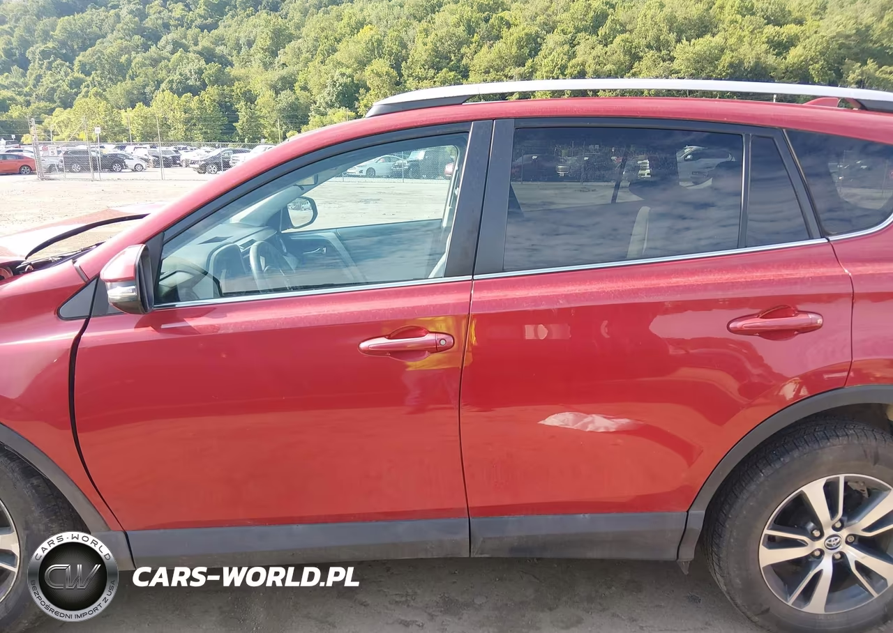 2016 Toyota Rav4 Xle VIN:2T3RFREV5GW494828 - 14