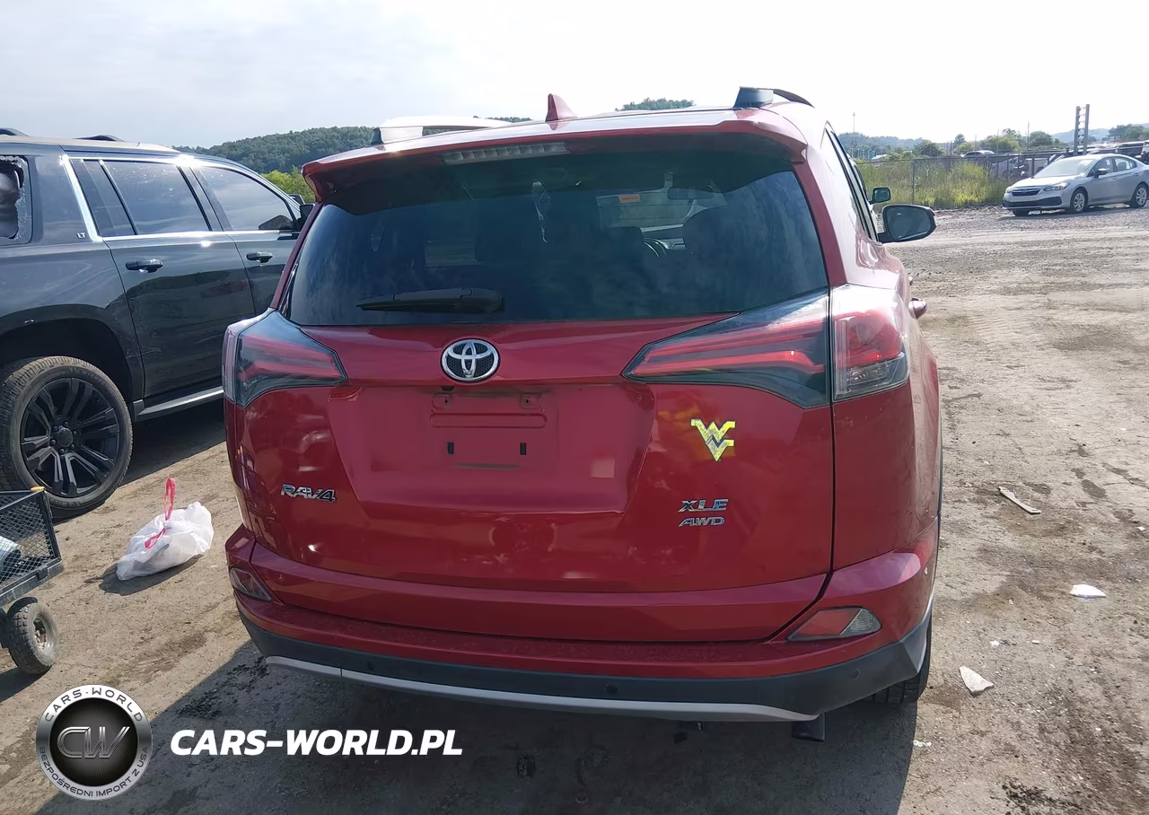 2016 Toyota Rav4 Xle VIN:2T3RFREV5GW494828 - 16