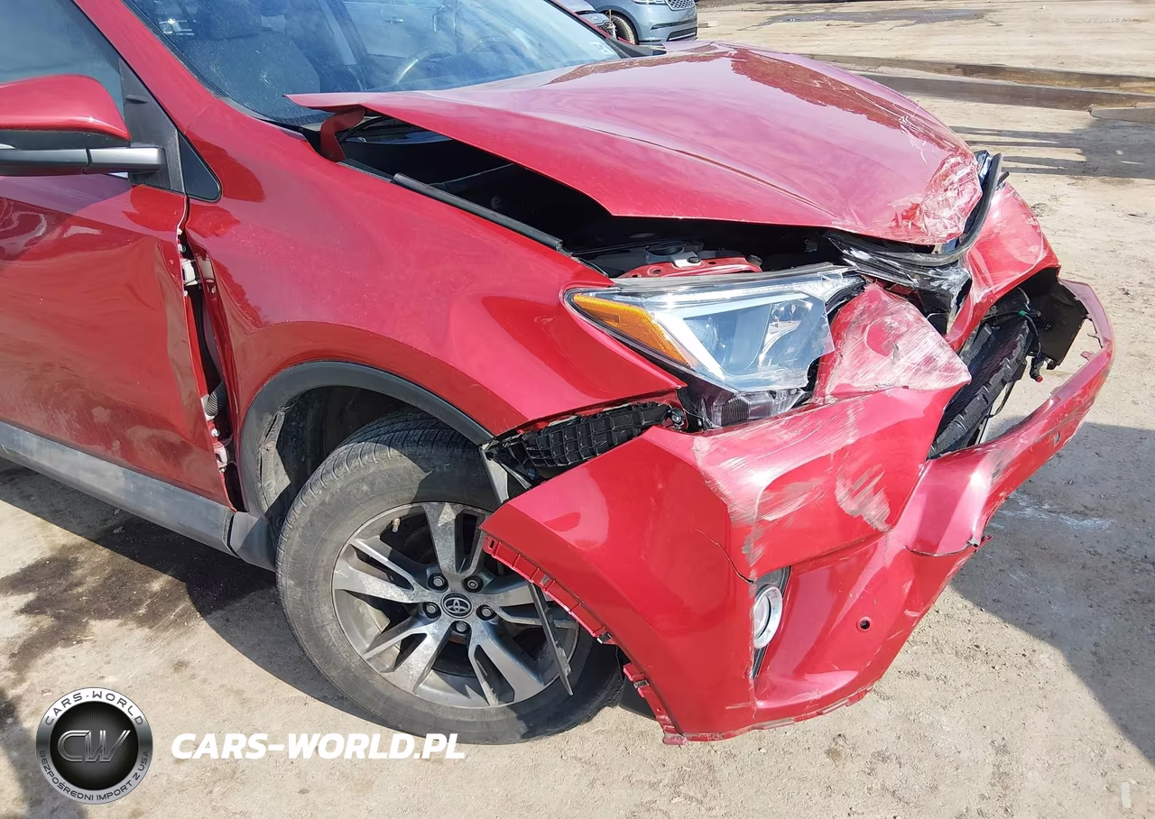 2016 Toyota Rav4 Xle VIN:2T3RFREV5GW494828 - 17
