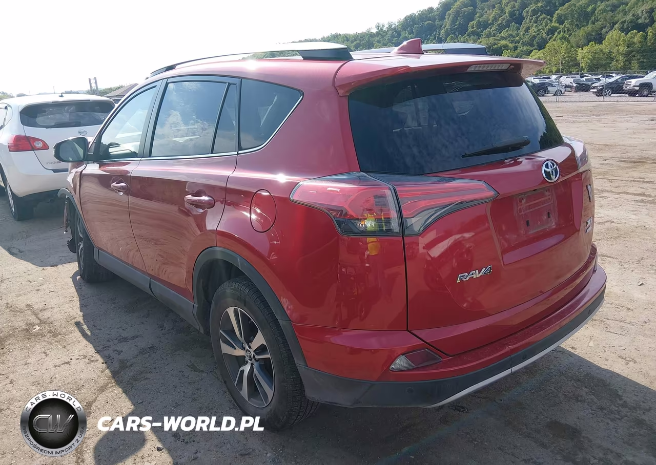 2016 Toyota Rav4 Xle VIN:2T3RFREV5GW494828 - 3