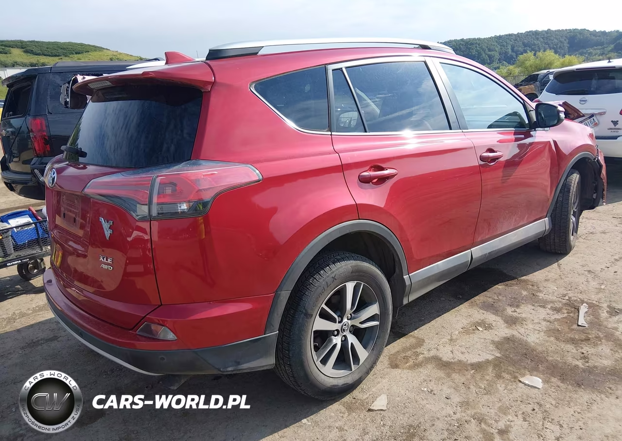 2016 Toyota Rav4 Xle VIN:2T3RFREV5GW494828 - 4