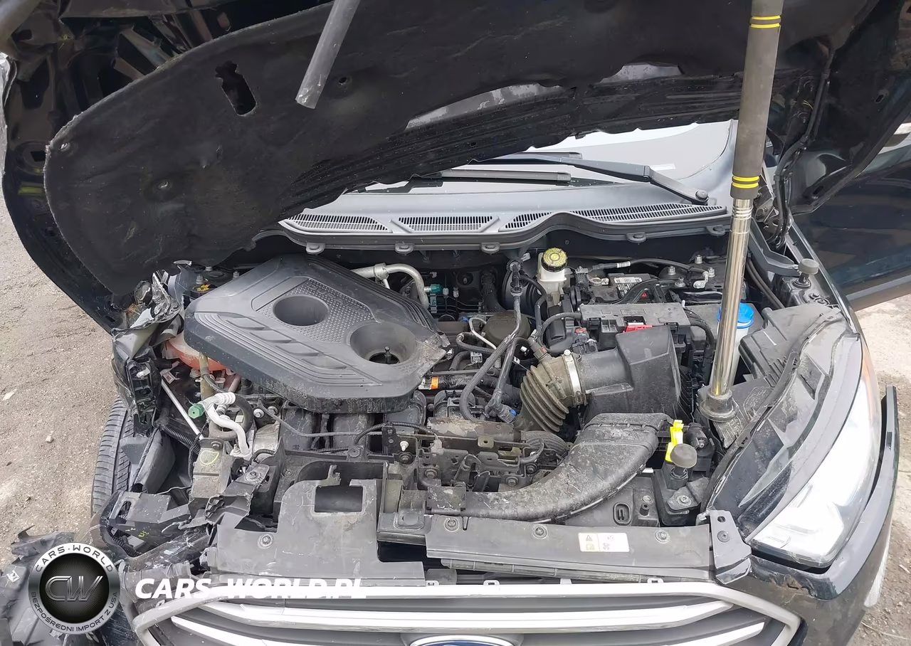 2020 Ford Ecosport Se VIN:MAJ6S3GLXLC317766 - 10