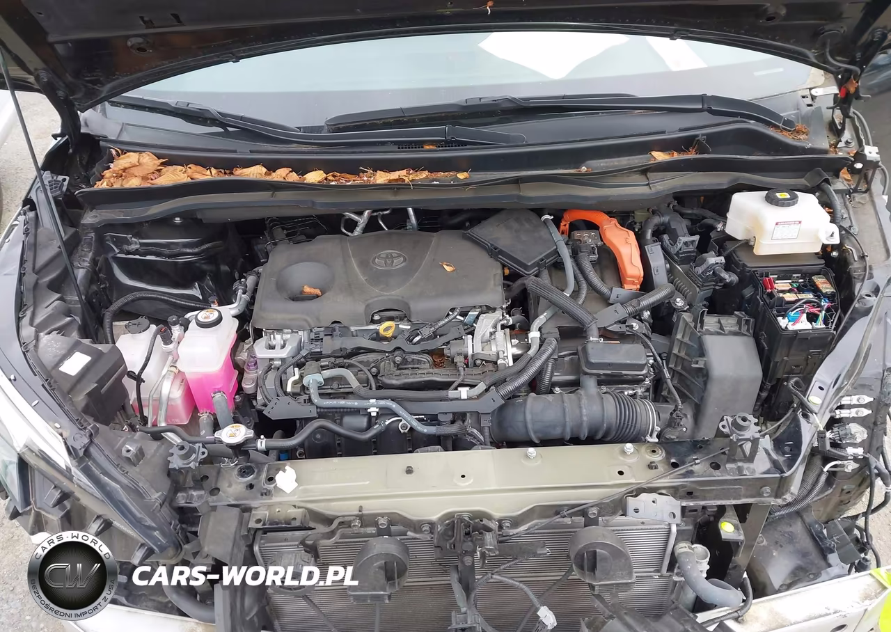 2021 Toyota Sienna Xle VIN:5TDJSKFC4MS018449 - 10