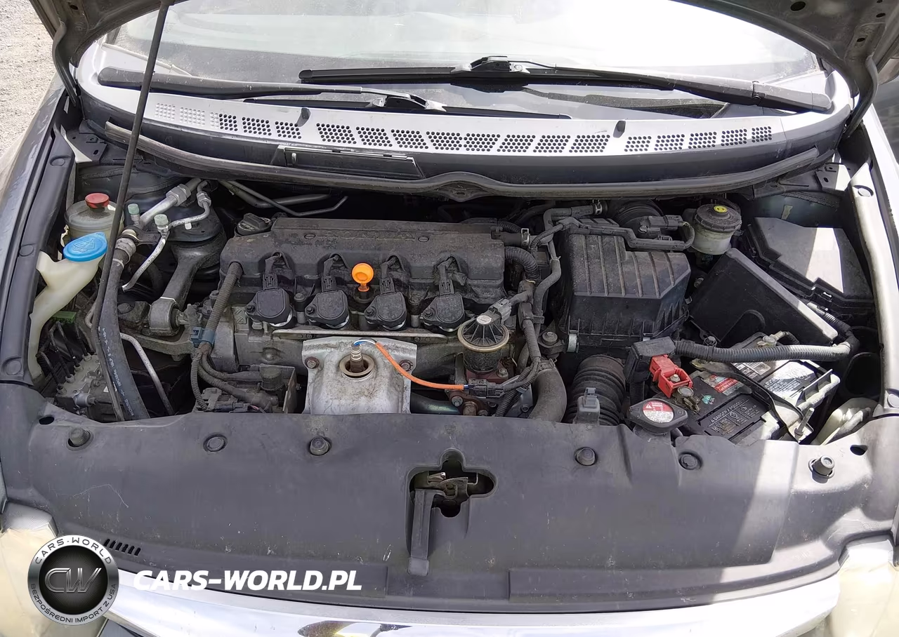 2009 Honda Civic Lx VIN:19XFA16519E024411 - 10