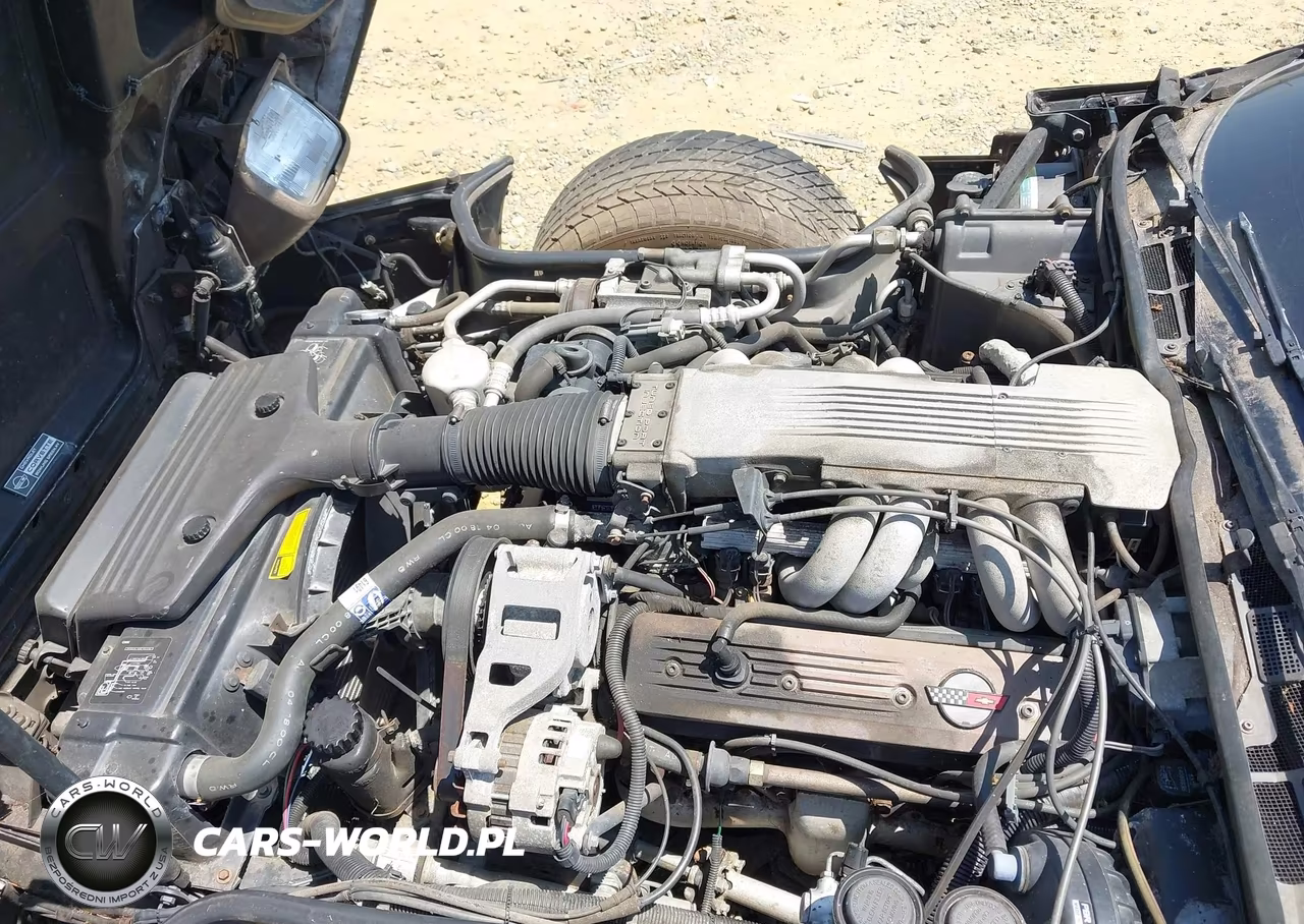 1988 Chevrolet Corvette VIN:1G1YY2185J5110633 - 10