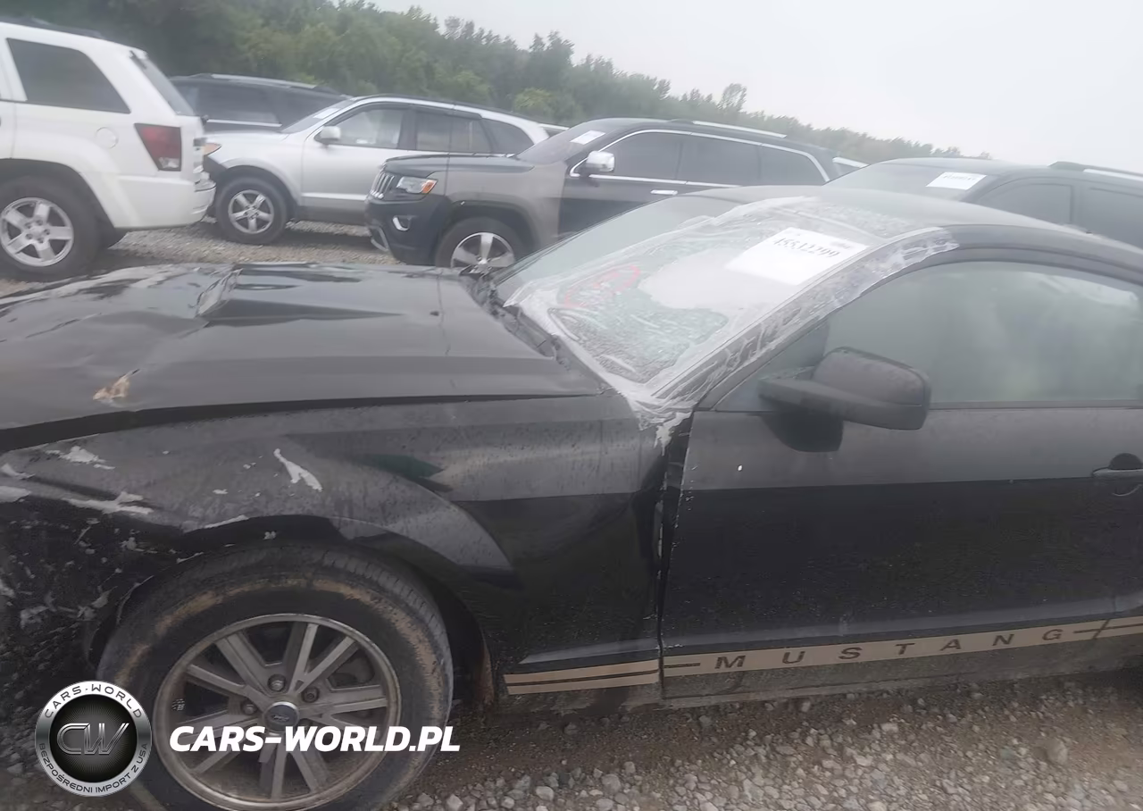 2005 Ford Mustang V6 Deluxe-V6 Premium VIN:1ZVFT80N555252006 - 2