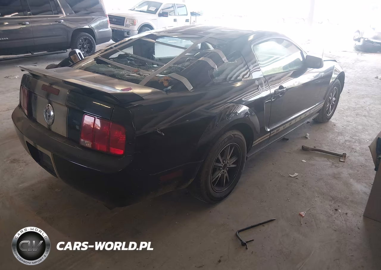 2005 Ford Mustang V6 Deluxe-V6 Premium VIN:1ZVFT80N555252006 - 4
