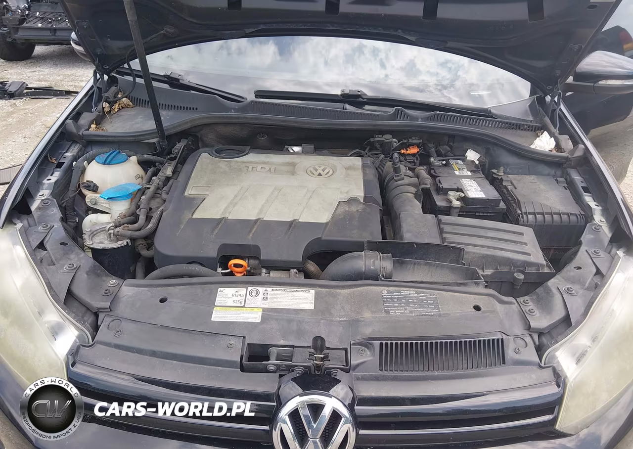 2011 Volkswagen Golf Tdi 4-Door VIN:WVWDM7AJ8BW293815 - 10