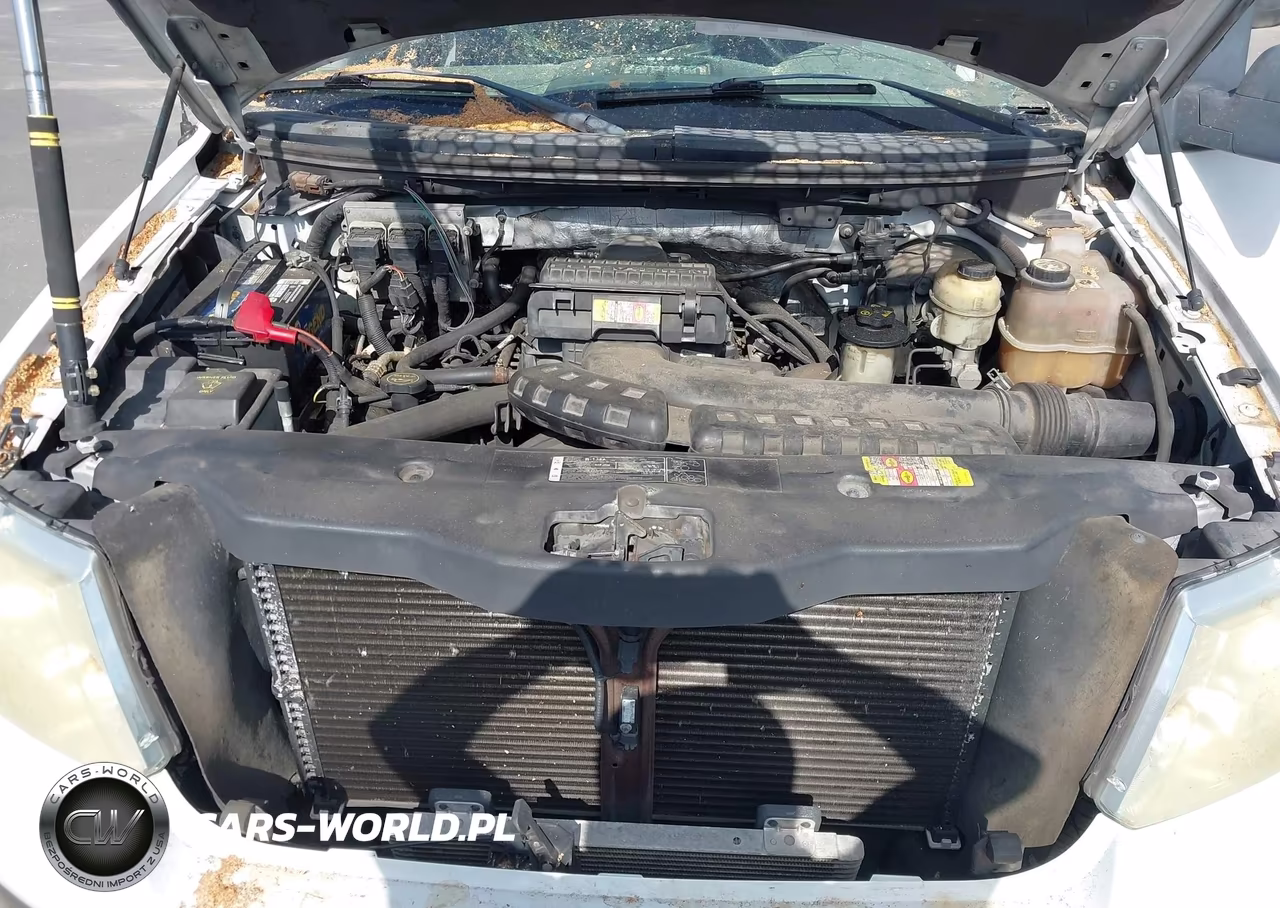 2006 Ford F-150 Lariat-Xl-Xlt VIN:1FTPX12V36NB70163 - 10