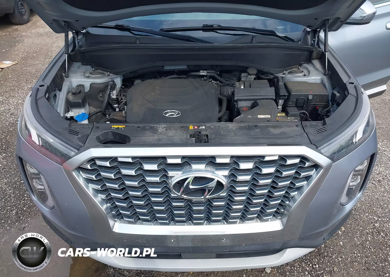 2020 Hyundai Palisade Sel VIN:KM8R44HE6LU060750 - 10