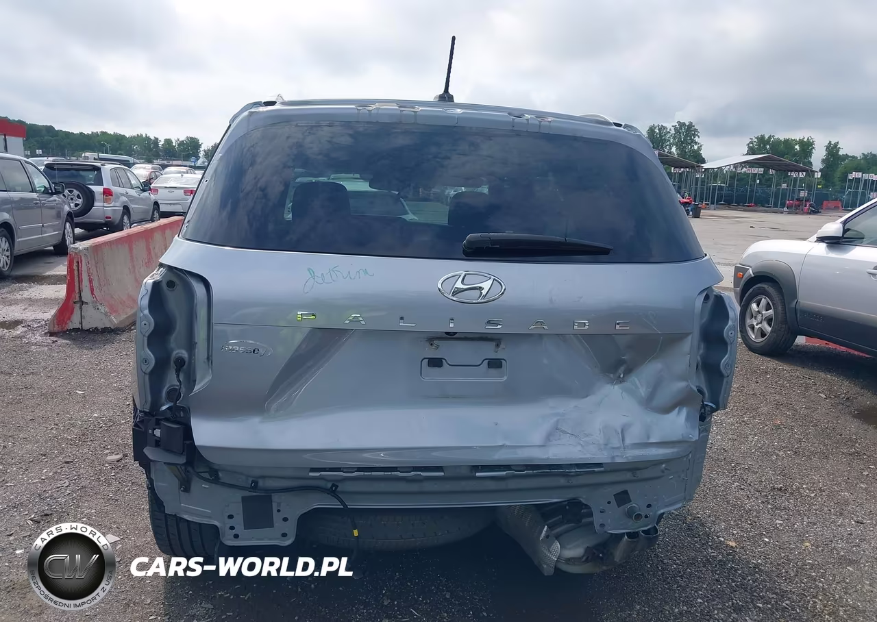 2020 Hyundai Palisade Sel VIN:KM8R44HE6LU060750 - 17