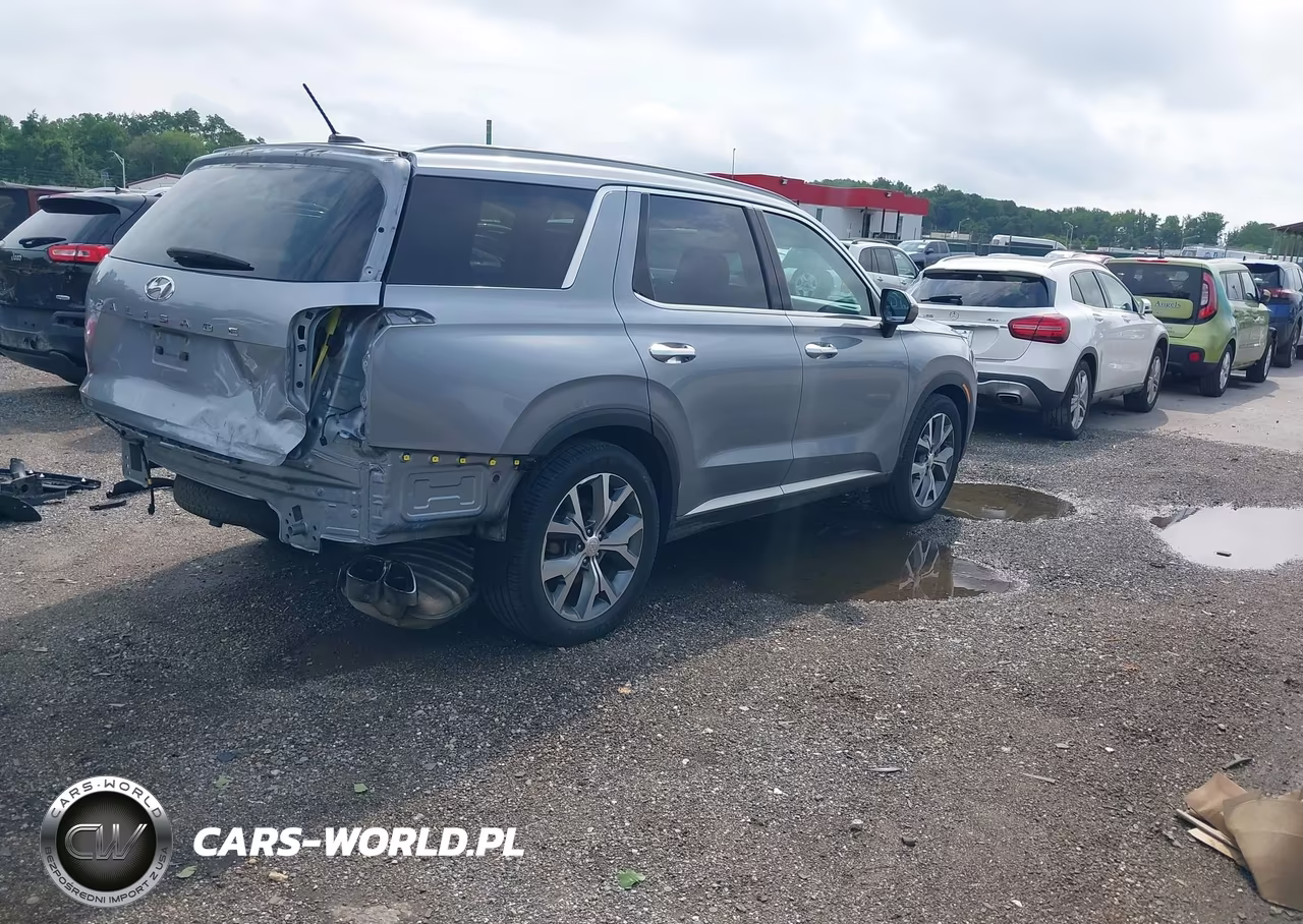 2020 Hyundai Palisade Sel VIN:KM8R44HE6LU060750 - 4