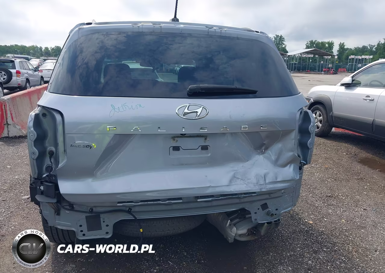 2020 Hyundai Palisade Sel VIN:KM8R44HE6LU060750 - 6