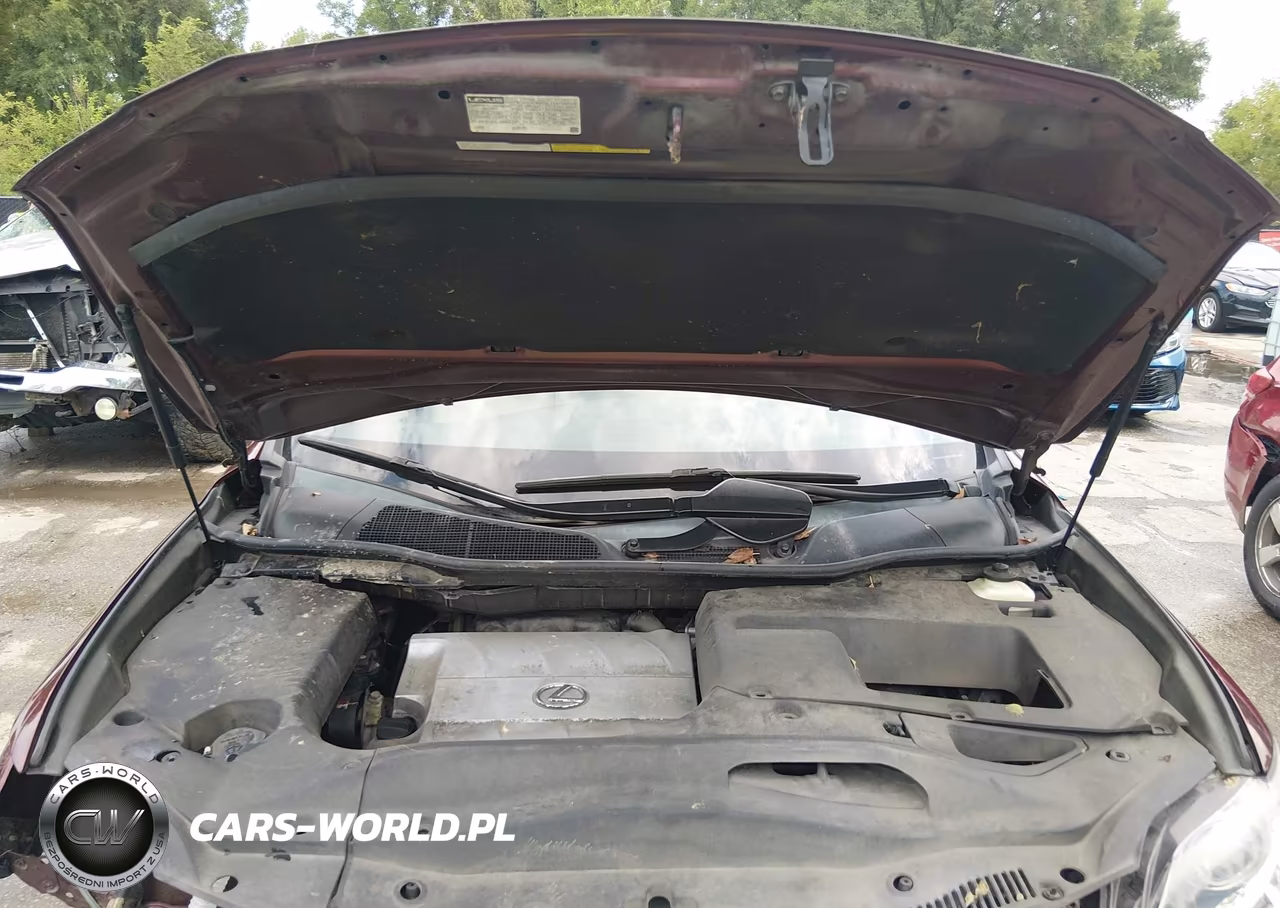 2015 Lexus Rx 350 VIN:2T2BK1BAXFC303716 - 10