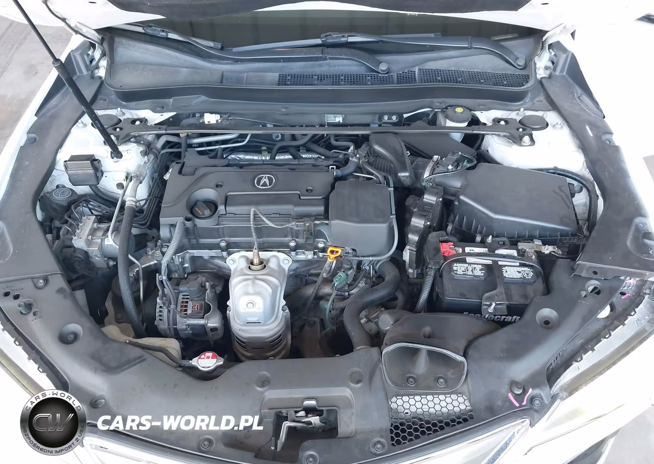 2016 Acura Tlx VIN:19UUB1F3XGA005330 - 10
