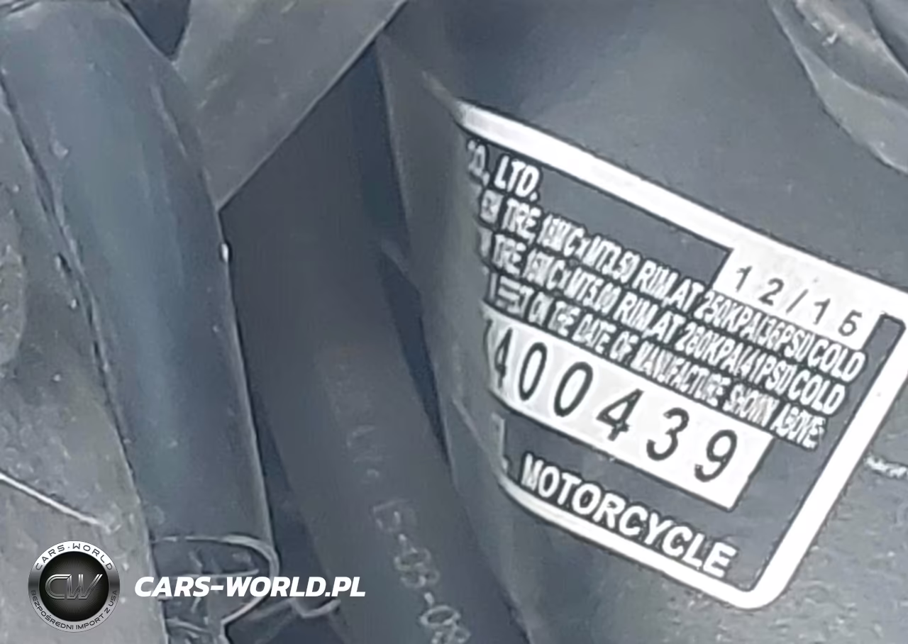 2016 Honda Gl1800 VIN:JH2SC68HXGK400439 - 10