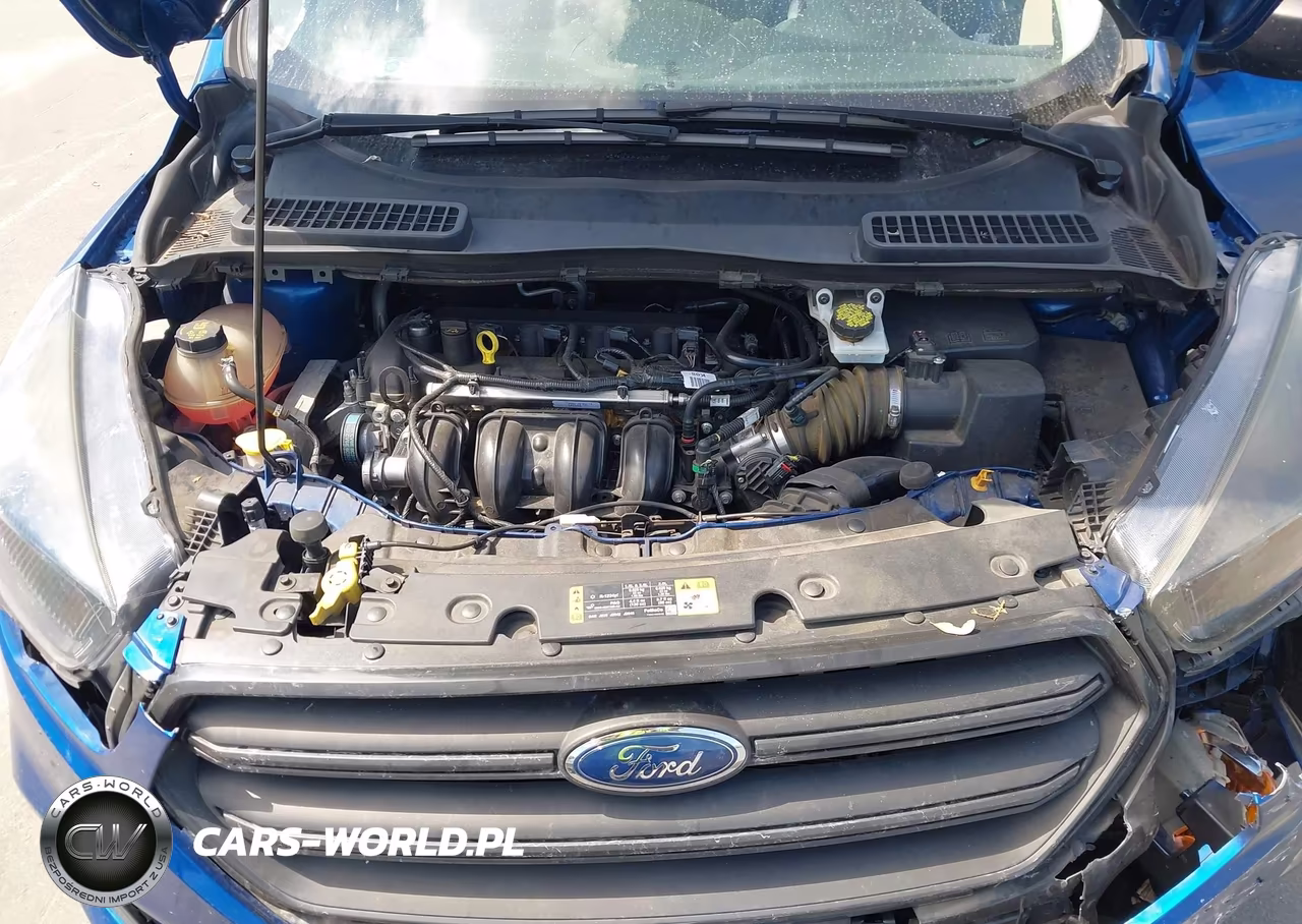 2019 Ford Escape S VIN:1FMCU0F71KUA75173 - 10