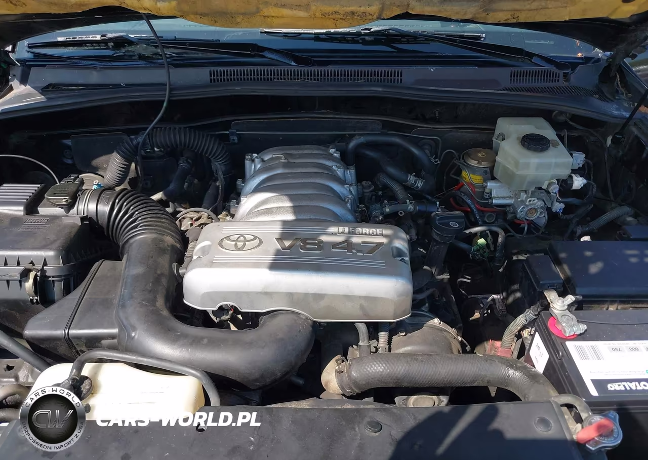 2004 Toyota 4Runner Limited V8 VIN:JTEZT17R340019006 - 10