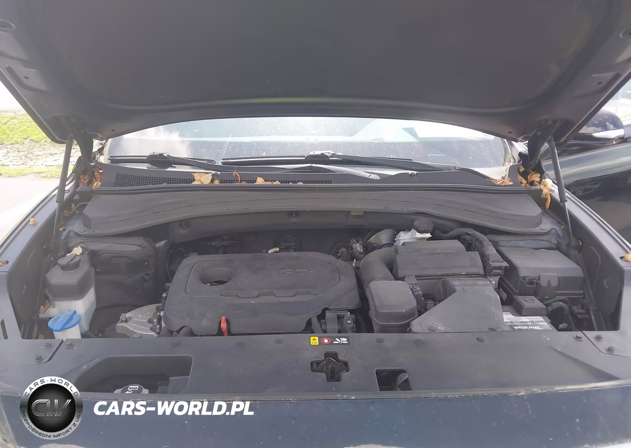 2020 Hyundai Santa Fe Sel VIN:5NMS33AD1LH286366 - 10