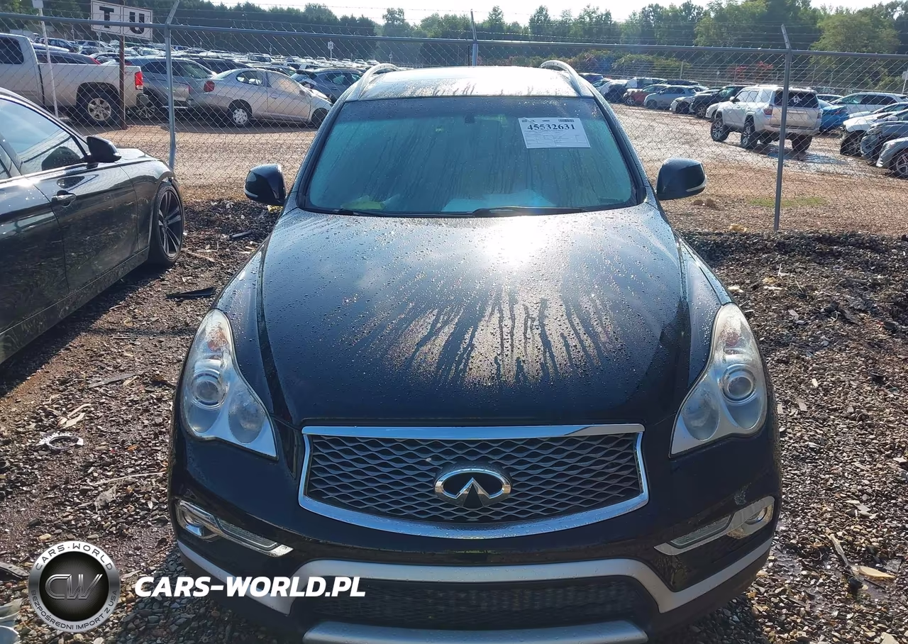 2017 Infiniti Qx50 VIN:JN1BJ0RR9HM400976 - 12