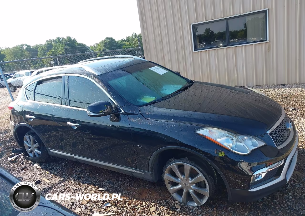 2017 Infiniti Qx50 VIN:JN1BJ0RR9HM400976 - 13